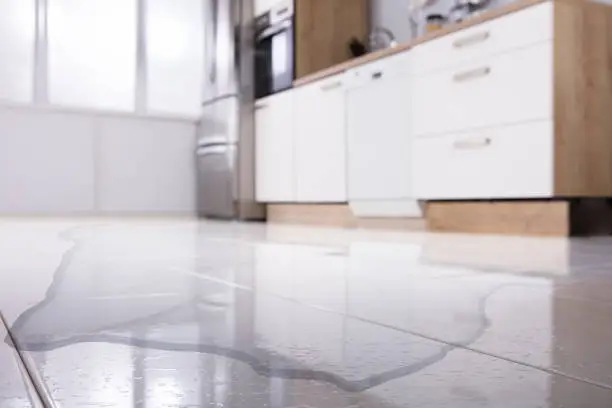 Appliance leak water damage cleanup in a Denver home
